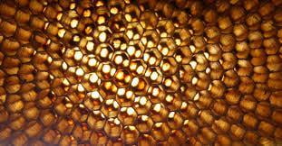 The honeycomb buzz